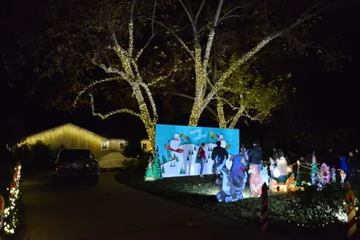 DSC_5795 (Large).JPG